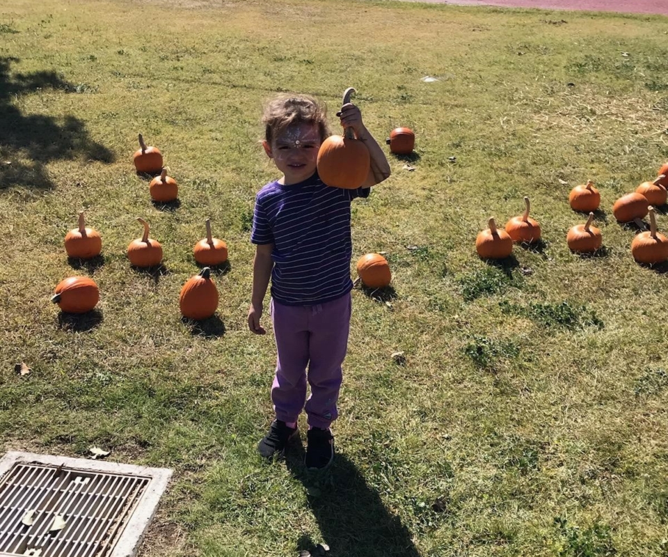 marley pumpkin patch